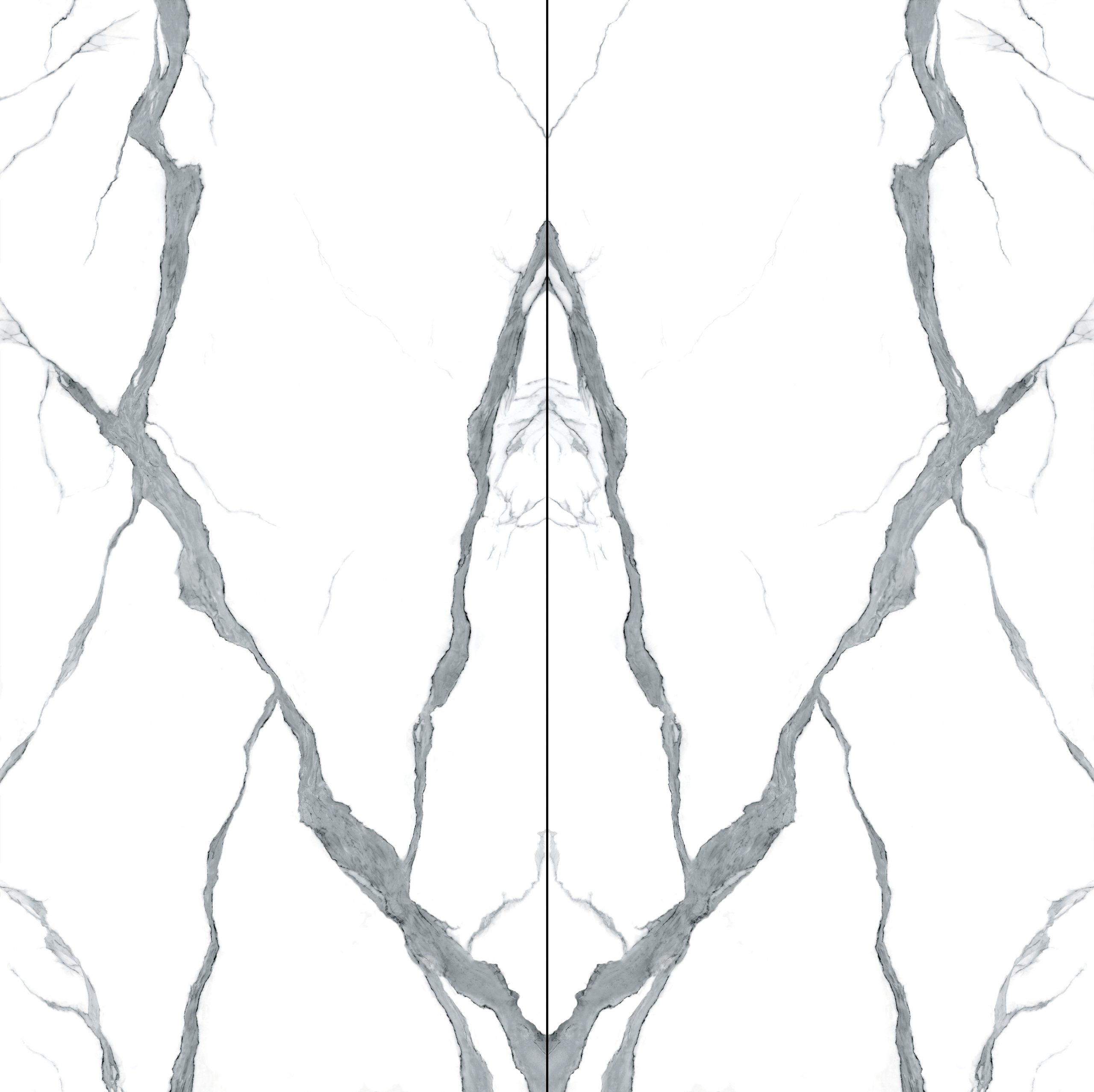 Marble countertop with gray veining pattern.