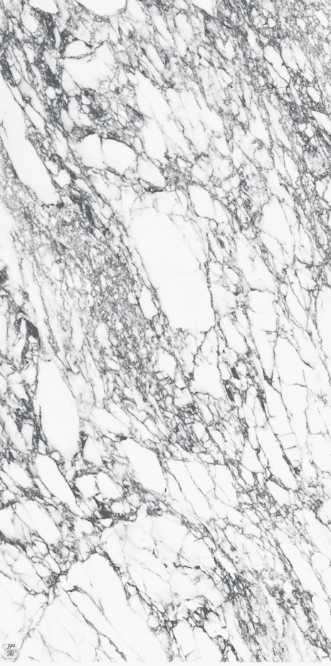 White marble texture with black veining pattern.