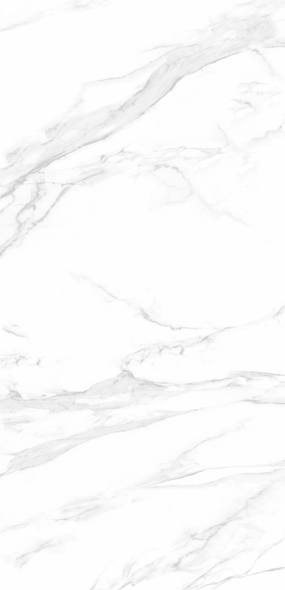 Sintered Stone H6310 Calacatta White