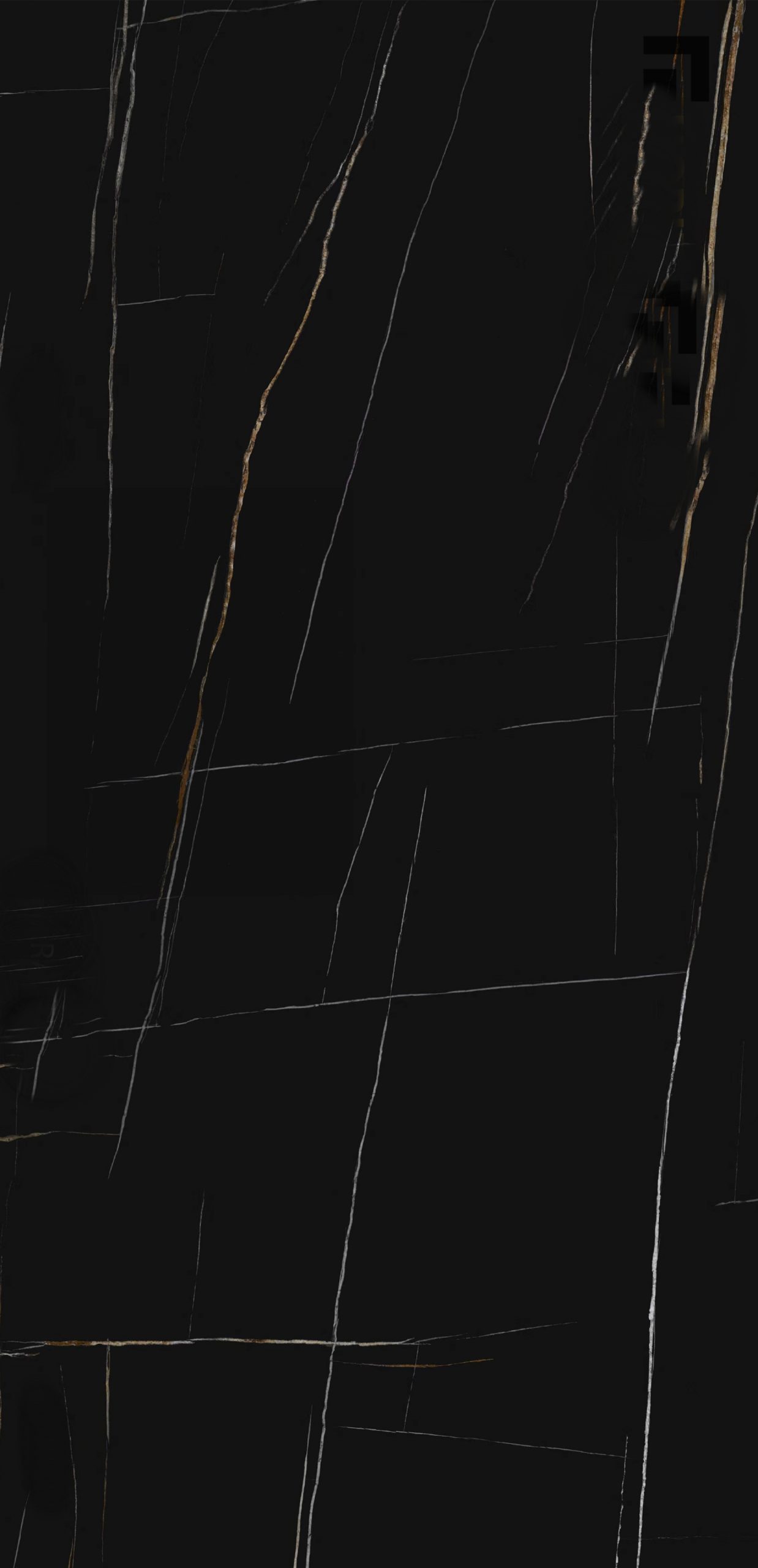 Sintered Stone Sahara Nero with dark surface and light veining.
