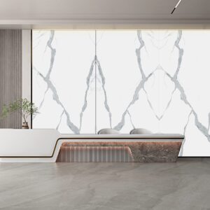 Modern interior with marble-patterned wall and sleek reception desk.