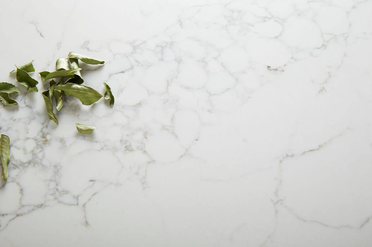White marble countertop with green leaves on the side.